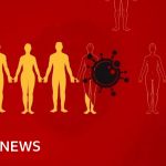 Coronavirus: What is social distancing? – BBC News