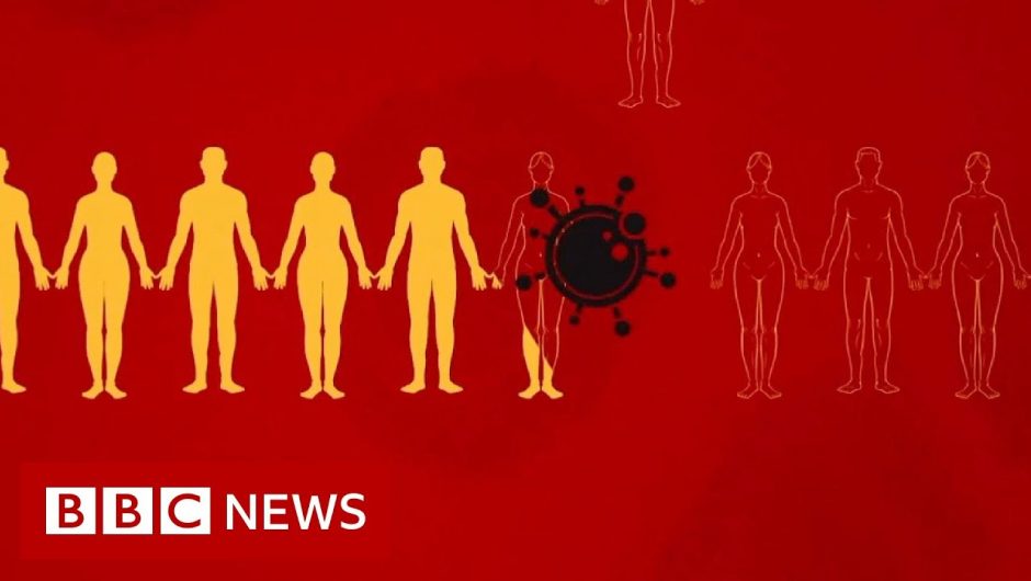 Coronavirus: What is social distancing? – BBC News