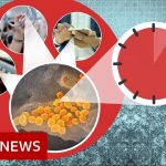Coronavirus: More myths to ignore – BBC News