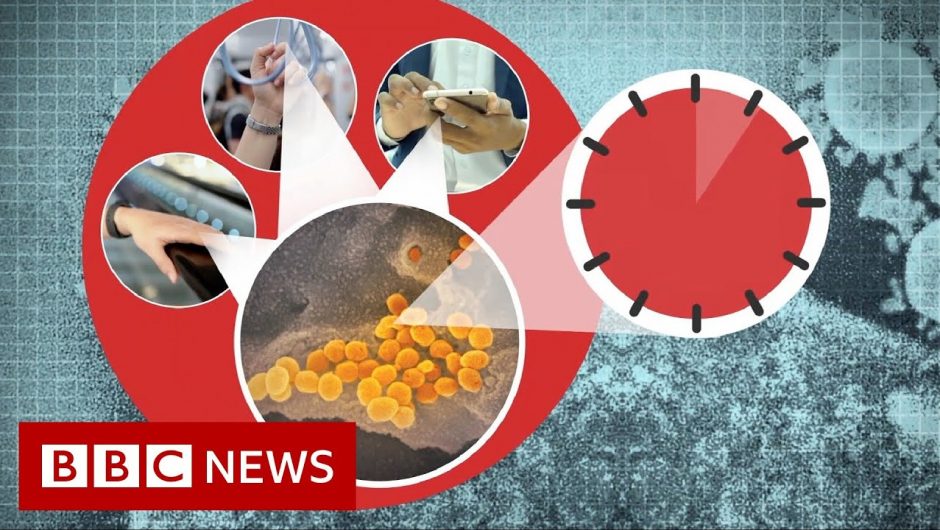 Coronavirus: More myths to ignore – BBC News