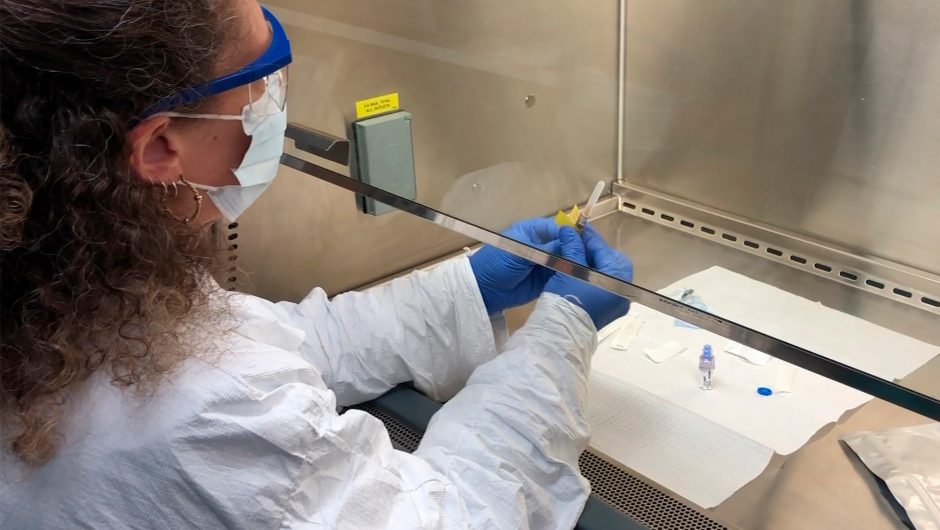 Second US study for coronavirus vaccine uses skin-deep shots