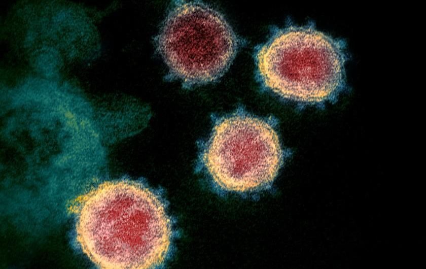 Was the coronavirus made in a Wuhan lab? Here’s what the genetic evidence shows