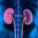 37 percent of NYC coronavirus patients had kidney failure