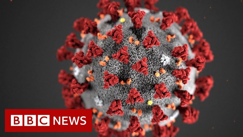 Coronavirus v Influenza: How do the two viruses compare? – BBC News