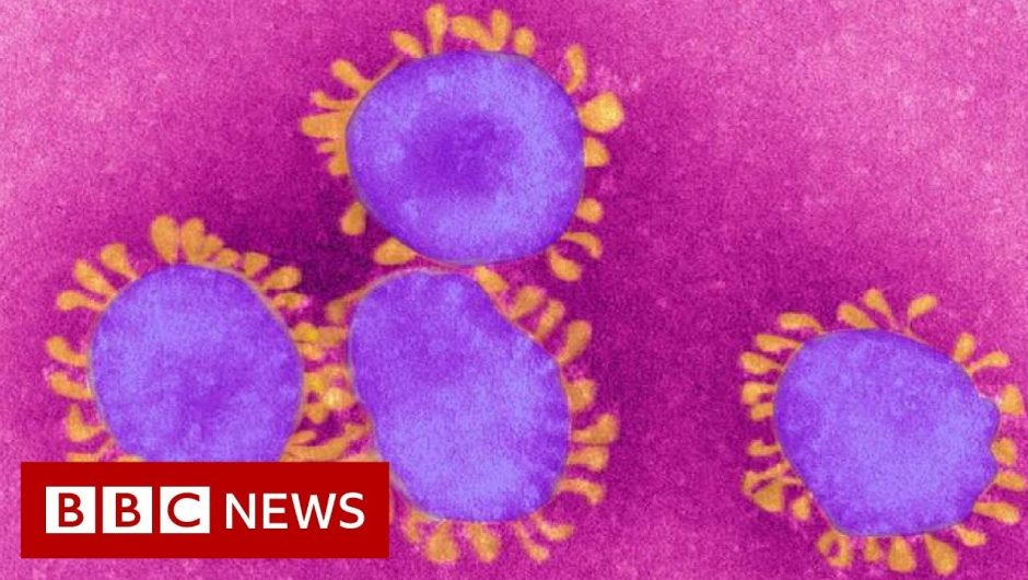 Coronavirus: World in 'uncharted territory' – BBC News