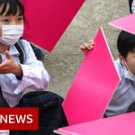 Coronavirus: Japan schools to close for several weeks- BBC News