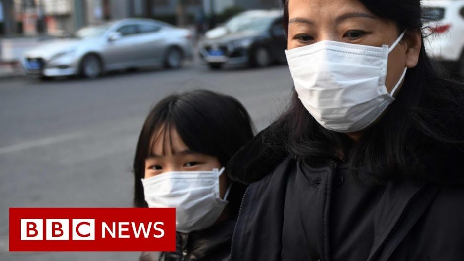 World battles coronavirus outbreak – BBC News