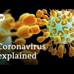 Coronavirus explained: Where it came from and how to stop it | DW News