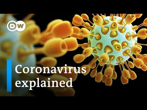 Coronavirus explained: Where it came from and how to stop it | DW News