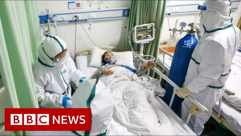 Coronavirus kills 97 in deadliest day so far – BBC News