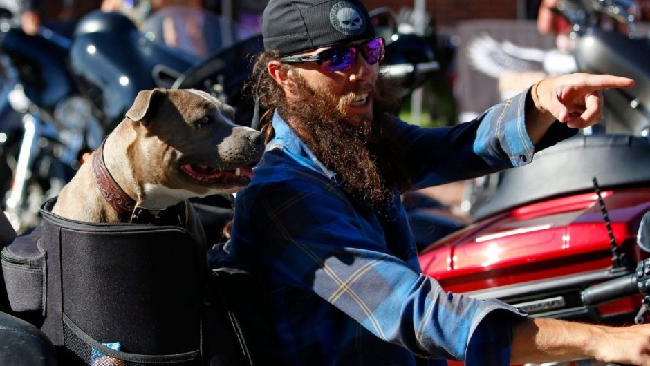 This is what it looks like in Sturgis, South Dakota, where hundreds of thousands of unmasked bikers are partying like the coronavirus isn’t real