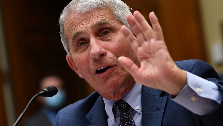 Fauci expects tens of millions of coronavirus vaccine doses in 2021