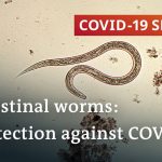 Coronavirus: Are parasitic worms responsible for low fatality rates in Africa? | COVID-19 Special