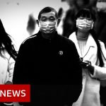 Coronavirus: Chinese city to shut public transport – BBC News