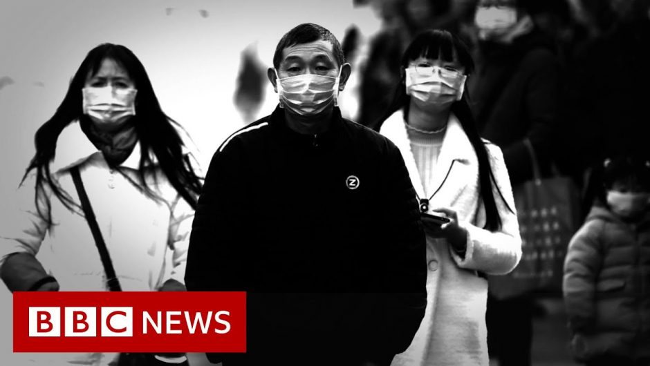 Coronavirus: Chinese city to shut public transport – BBC News