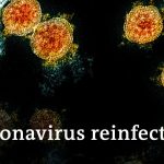 Coronavirus reinfections raise concerns | DW News