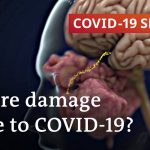 More long-term damage caused by COVID-19 than expected | COVID-19 Special