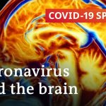 Can the coronavirus cause permanent brain damage? | COVID-19 Special