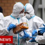 Coronavirus updates from around the world – BBC News