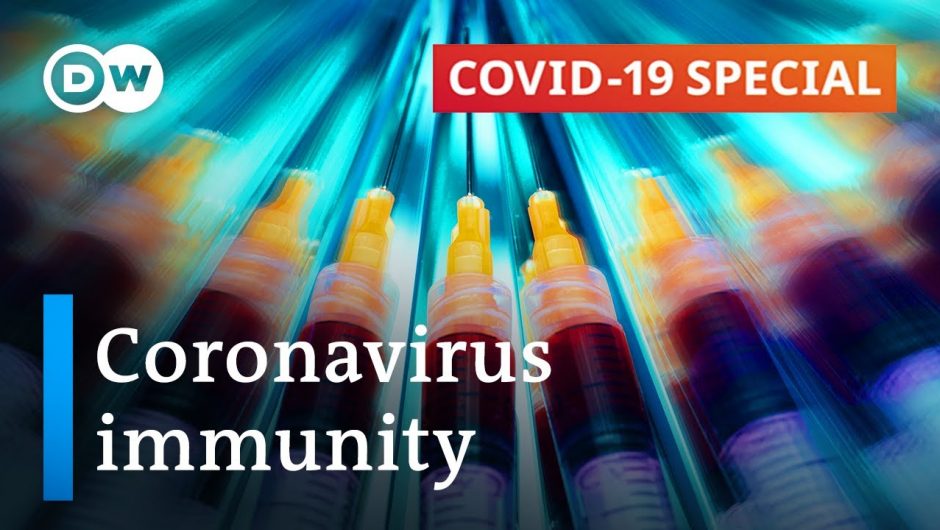 Coronavirus immunity: What do we know? | COVID-19 Special