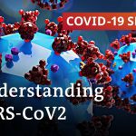 Researching coronavirus: What are the findings? | COVID-19 Special