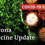 Can a genetically modified BCG vaccine protect us from coronavirus? | COVID-19 Special