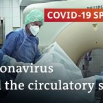 Autopsies reveal: Coronavirus is more than a lung infection | COVID-19 Special