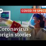 Where did the coronavirus come from? | COVID-19 Special