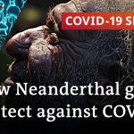 Ancient genetics are facing the coronavirus | COVID-19 Special