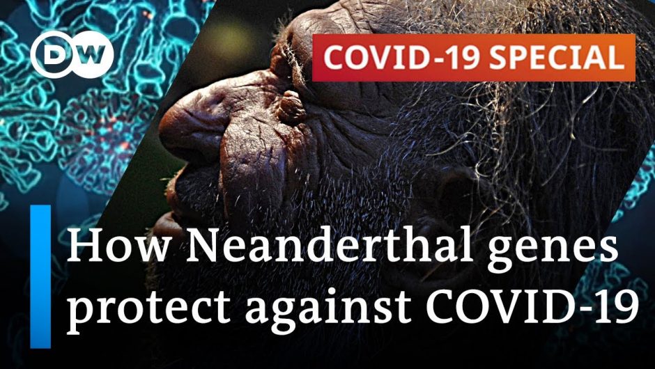 Ancient genetics are facing the coronavirus | COVID-19 Special