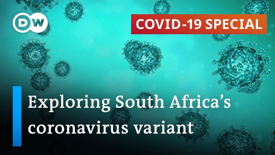 How dangerous is South Africa's coronavirus variant? | COVID-19 Special