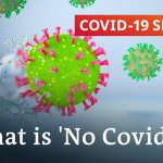 'No Covid': A way out of the coronavirus pandemic? | COVID-19 Special