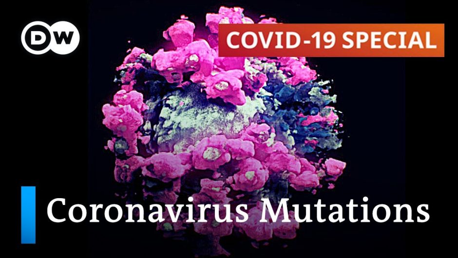 Understanding what's driving coronavirus mutations | COVID-19 Special