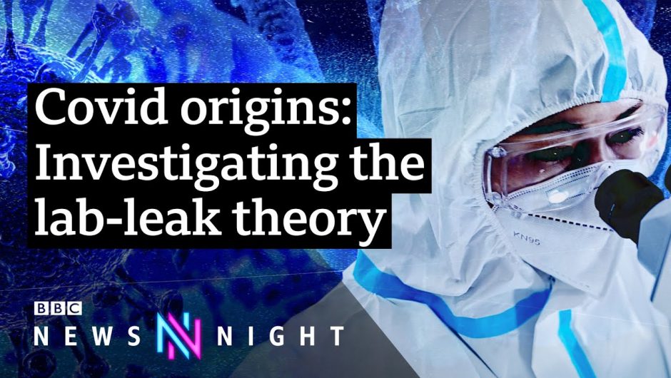 Covid-19: Did the pandemic start in a Wuhan lab? – BBC Newsnight