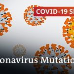 What do the current mutations mean for the coronavirus pandemic? | COVID-19 Special