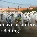 China puts millions on lockdown to curb renewed coronavirus outbreak | DW News