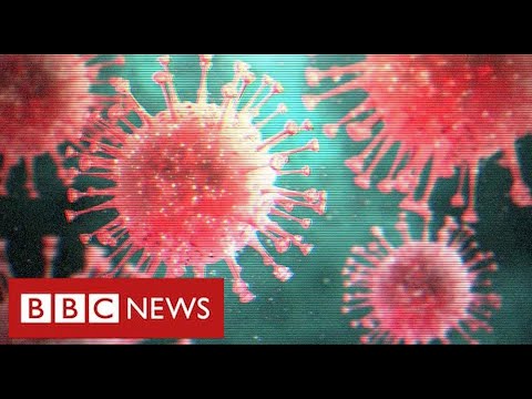 UK new coronavirus variant “out of control” as countries announce travel bans – BBC News