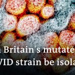 New coronavirus strain in UK: How worried should we be? | DW News