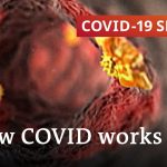 How does coronavirus attack your body? | COVID-19 Special