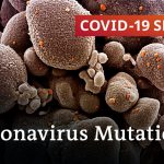 How dangerous can mutated coronavirus strains be? | COVID-19 Special