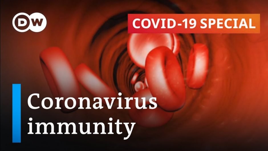 How long does immunity against the coronavirus last? | COVID-19 Special