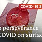 How long does the coronavirus remain viable on surfaces? | COVID Spezial