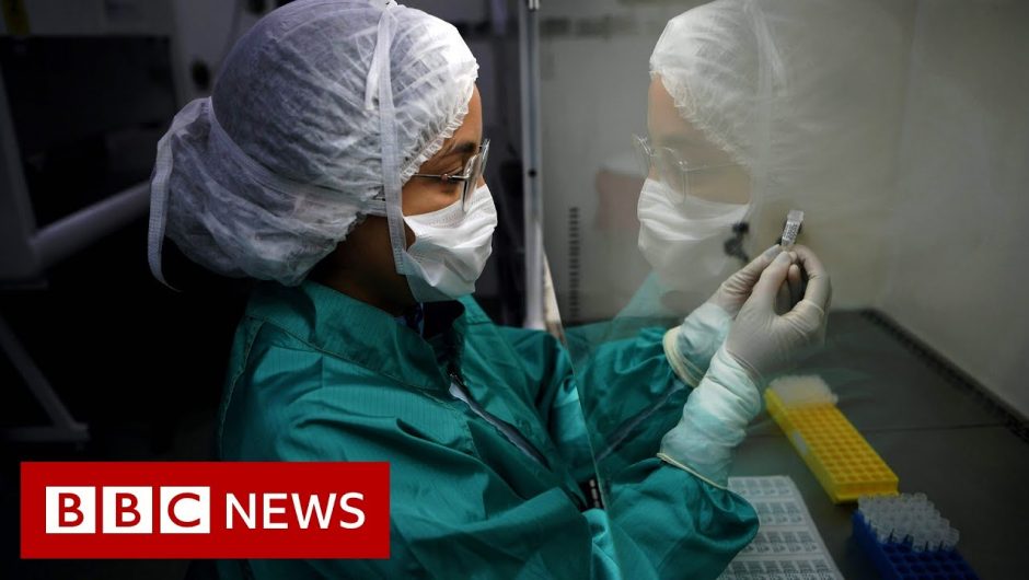 Coronavirus: What is a pandemic and why use the term now?  – BBC News