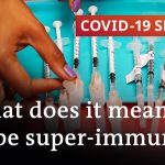 Immunity to all forms of the coronavirus may be closer than we thought | COVID-19 Special