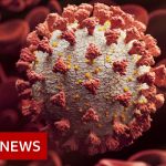 Fears heavily mutated Covid variant 'may evade vaccine protection' – BBC News