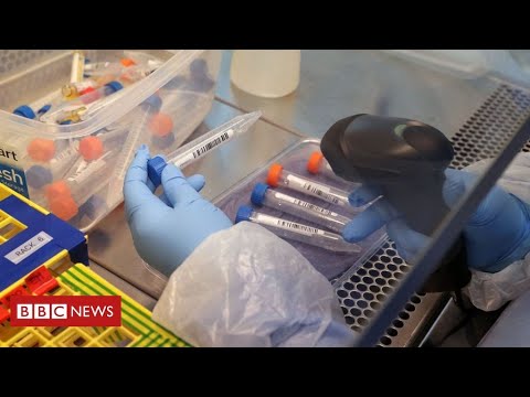 Thousands of people with coronavirus can not be contacted by new Test and Trace system – BBC News