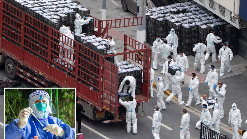 Shanghai protests food shortages during COVID-19 lockdown