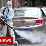 Shanghai begins easing strict Covid restrictions as cases fall – BBC News