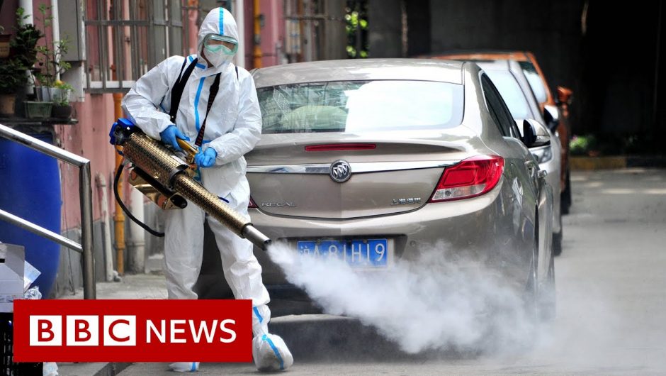 Shanghai begins easing strict Covid restrictions as cases fall – BBC News