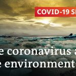 What impact has the coronavirus pandemic had on the environment? | COVID-19 Special